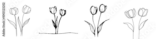 Continual line drawing of two Tulips flowers. Illustration for modern use.