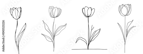 An illustration of a tulip flower in continuous line art style. No background is included, so it can be viewed as a minimalist black linear sketch.