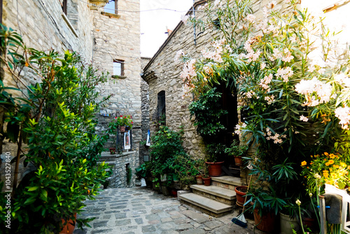 Guardia Perticara, perfectly preserved medieval village, Potenza, Basilicata, Italy photo