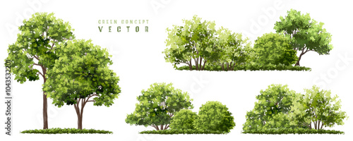 Vector watercolor green  tree or forest side view isolated on white background for landscape and architecture drawing,elements for environment or and garden,Shrub for section