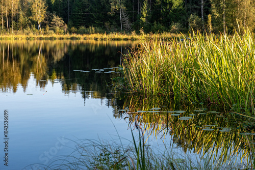 Obraz na płótnie beautiful landscape with a small forest lake, pure lake in the evening light, ca