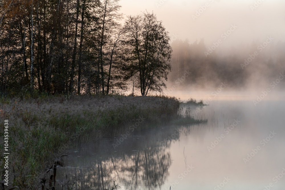 Fototapeta premium Blurred landscape with a lake in the morning fog, fog over the lake, dark silhouettes of trees on the shore of the lake