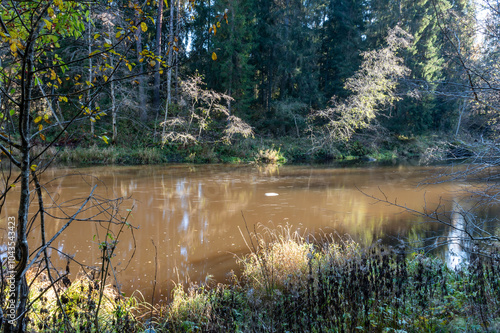 rapid flow of a wild river, blurred water surface, autumn in nature, Braslas river photo