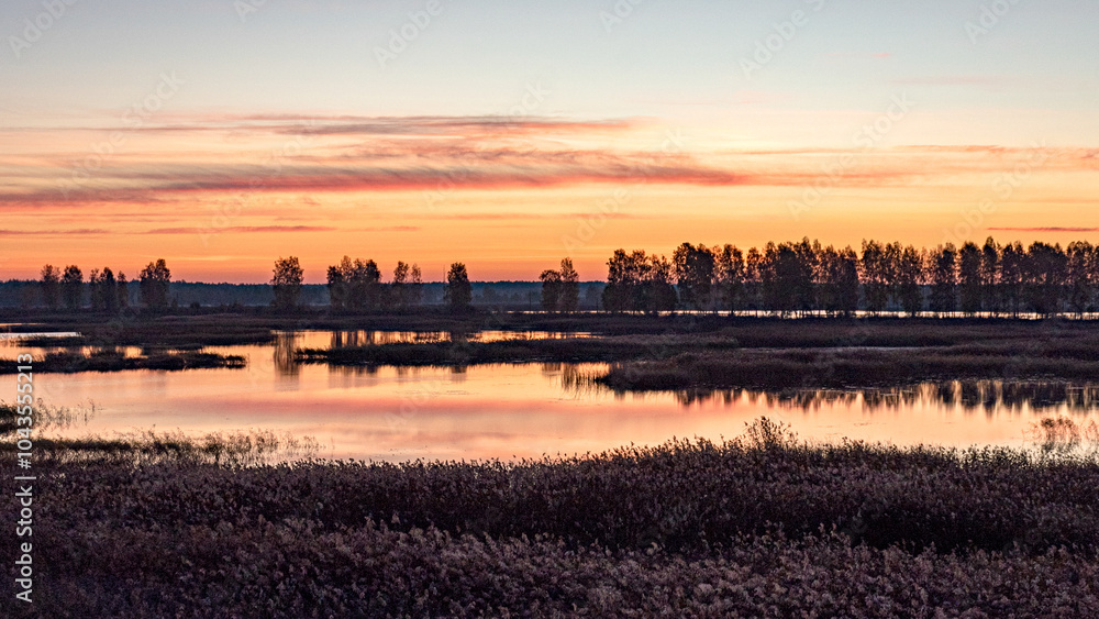 Fototapeta premium peculiar sunrise landscape of overgrown and flooded peat fields, bog ponds, bird nest