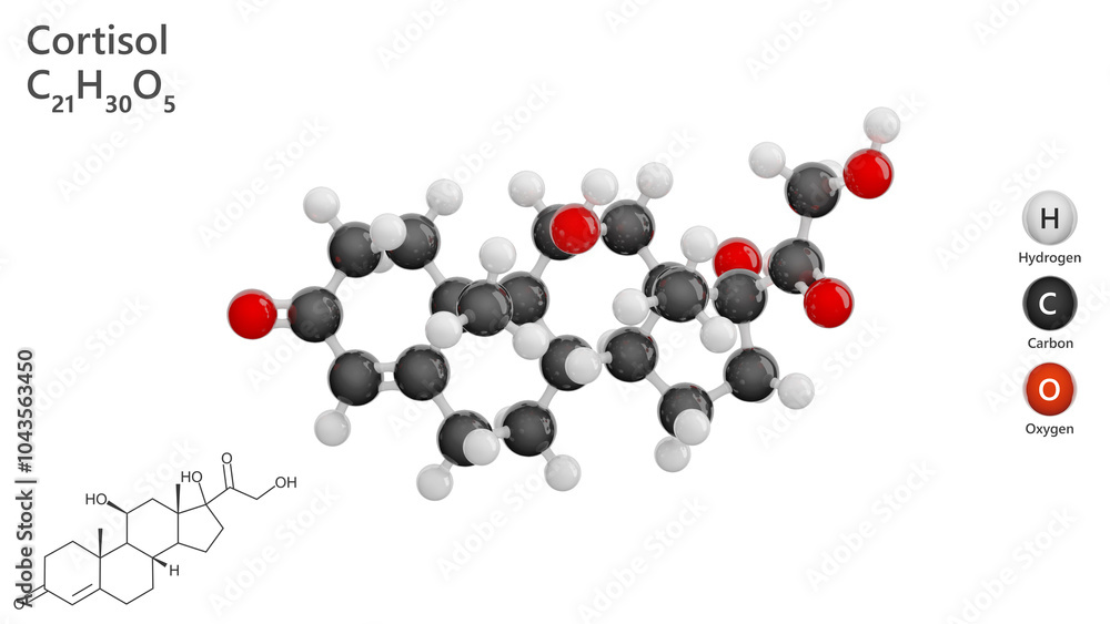 Molecule: Cortisol. Molecular structure. Formula: C21H30O5. Chemical model: Ball and stick. Stress hormone. White background. 3D illustration. Molecule: Cortisol. Molecular structure. Formula: C21H30O5. Chemical model: Ball and stick. Stress hormone. White background. 3D illustration.