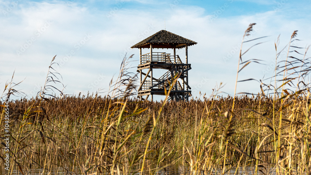 Fototapeta premium landscape with a birdwatching tower, a unique cultural landscape consisting of overgrown and flooded peat fields, bog ponds, bird habitat