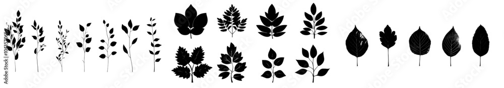 Various tree leaf silhouettes, oak, maple, and chestnut. Simple black and white illustration with flat design. Various tree leaf silhouettes, oak, maple, and chestnut. Simple black and white illustration with flat design.