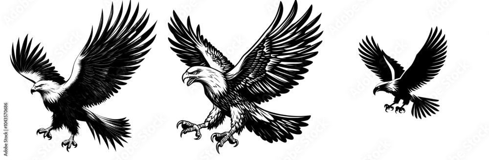 Black and white silhouette of flying Bald Eagle, eagle silhouette, flying bird silhouette Black and white silhouette of flying Bald Eagle, eagle silhouette, flying bird silhouette