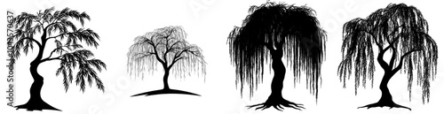 This is a beautiful black silhouette of a weeping willow, with detailed branch structures. It is an illustration of majestic nature.