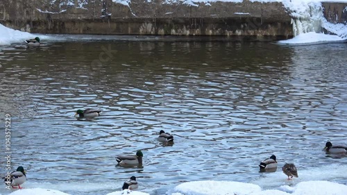  Beautiful winter landscape in the city