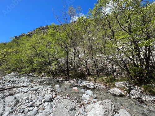 Torrential stream Mala Paklenica, Seline (Paklenica National Park, Croatia) - Wildbach Mala Paklenica, Seline (Nationalpark, Kroatien) - Bujični potok Mala Paklenica, Seline (Hrvatska) photo