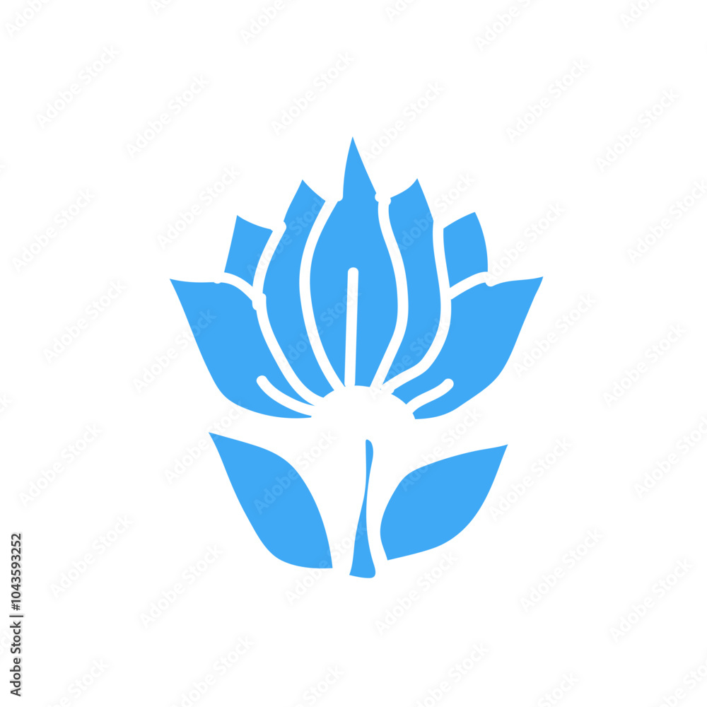 Obraz premium flower