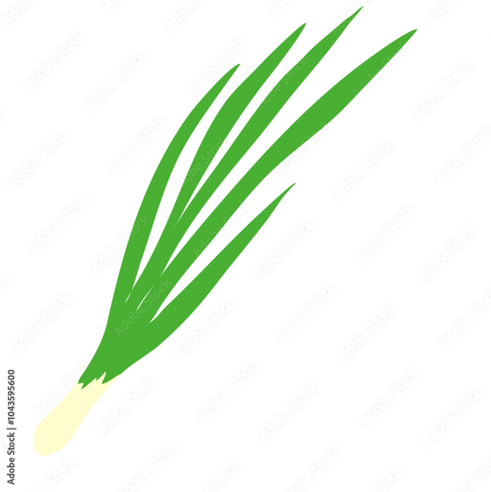Green spring onion leaf Green spring onion leaf
