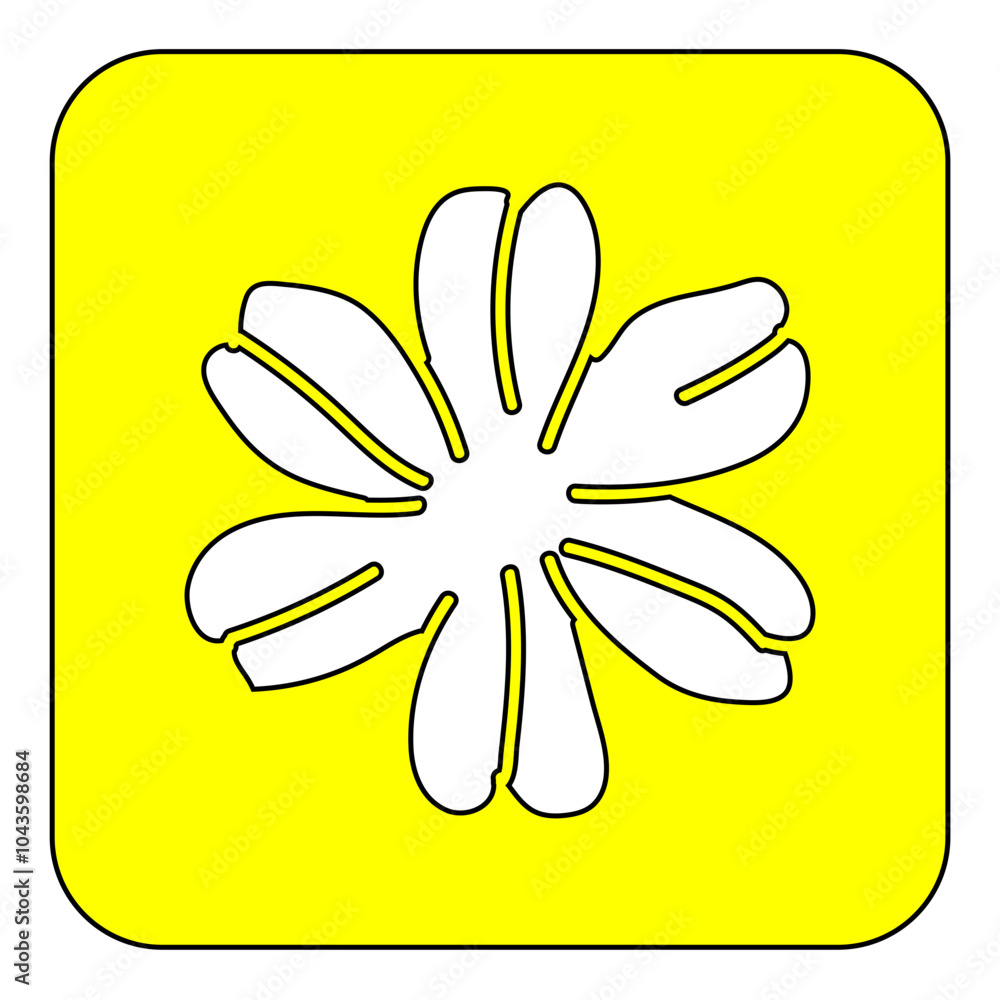 flower flower