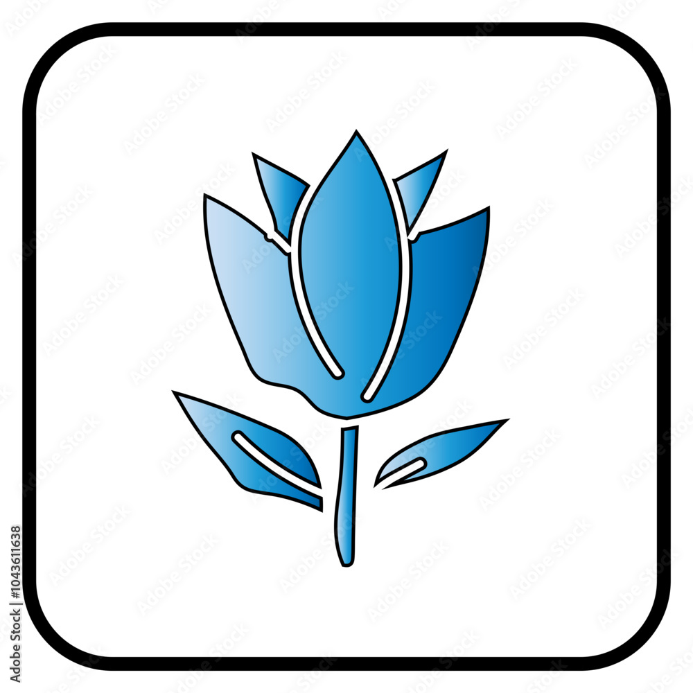 flower flower
