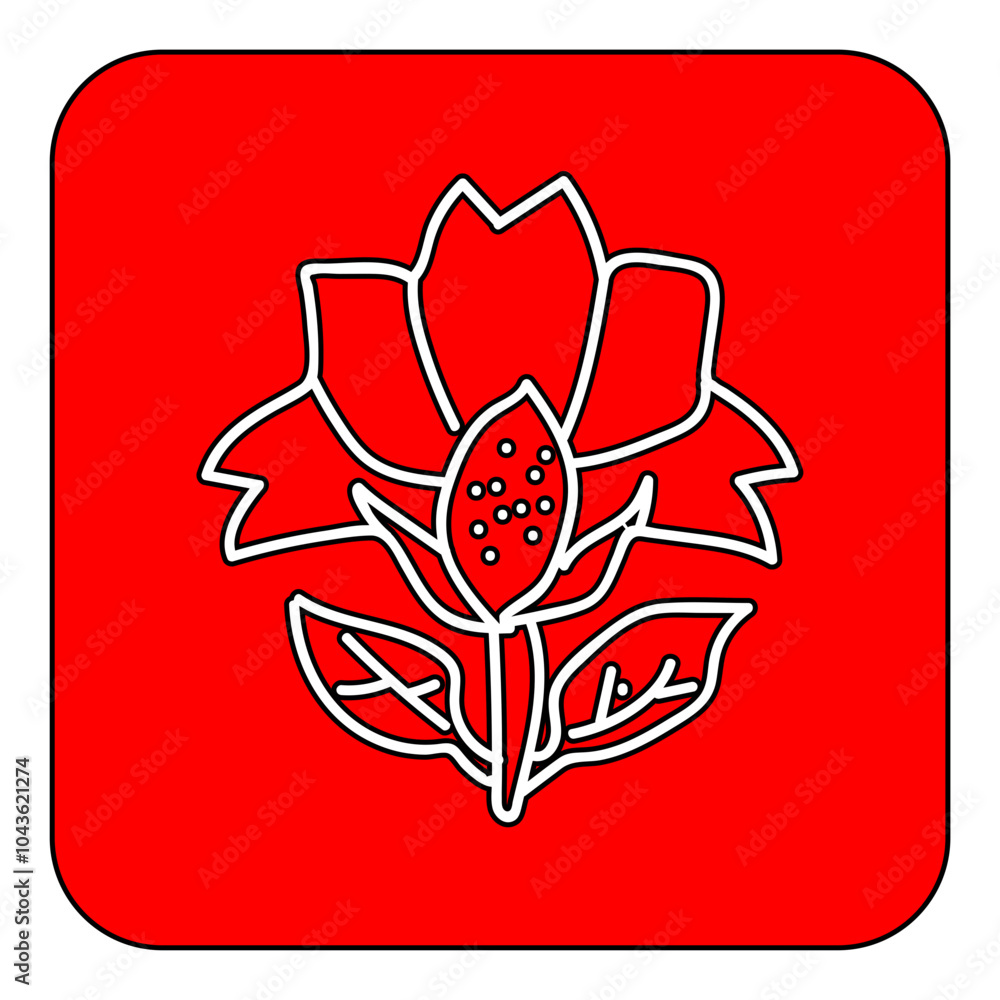 flower flower