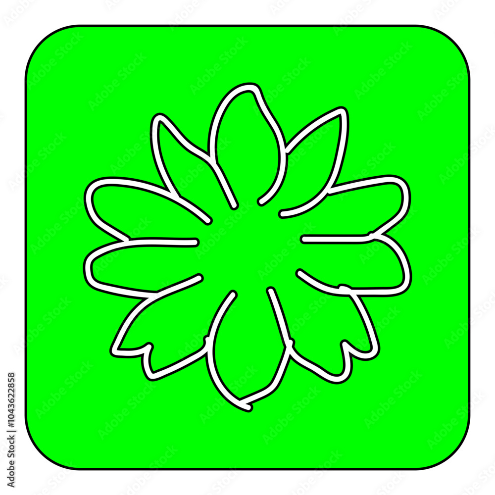 flower flower