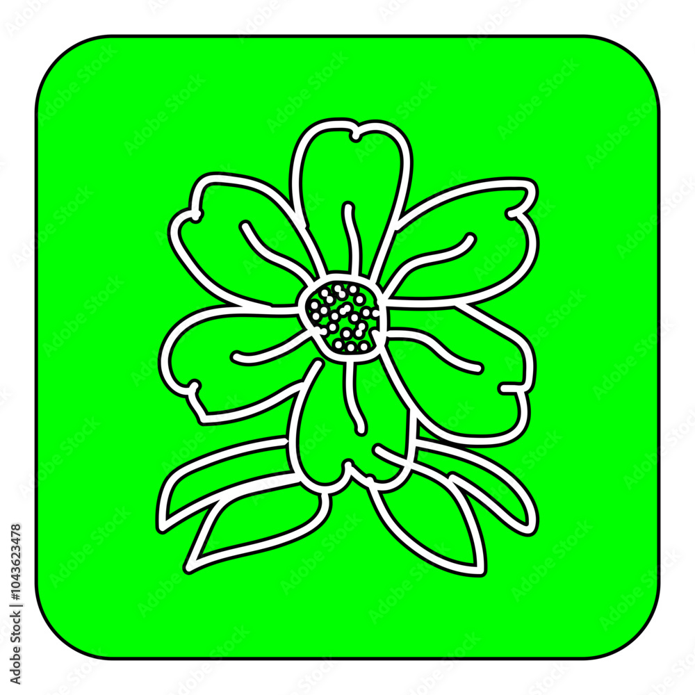 flower flower