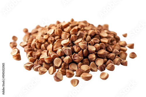 Wallpaper Mural A pile of nuts is spread out. on transparent background. Torontodigital.ca