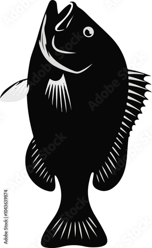 
Barramundi Fish Silhouette Vector Illustrationb