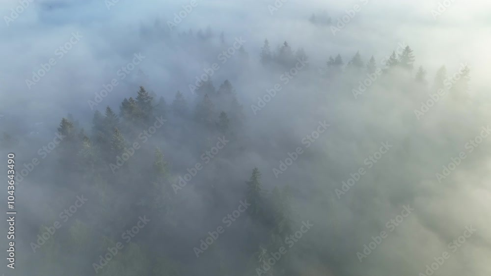 Early morning mist drifts through the Willamette Valley in West Linn, Oregon. This scenic area lies just south of the Pacific Northwest city of Portland.