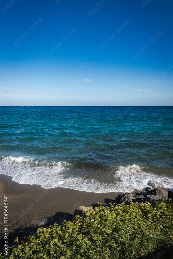 A peaceful beach scene with a clear blue sky, gentle waves lapping the shore, and lush greenery in the foreground. A peaceful beach scene with a clear blue sky, gentle waves lapping the shore, and lush greenery in the foreground.