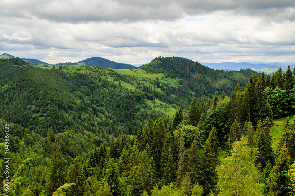 Obraz premium fields and meadows of Ukraine
