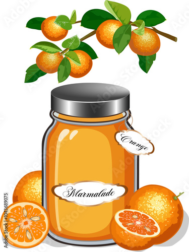 Illustration with orange marmalade.Colored vector illustration with oranges and marmalade in a jar.