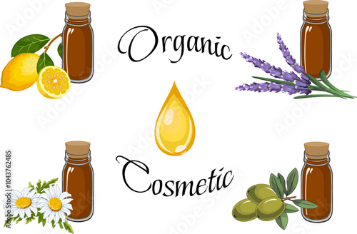 Illustration with organic cosmetics.Vector set of natural cosmetic oils on a transparent background with text.