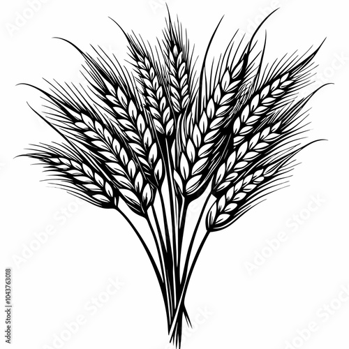 Black and White Wheat Bundle Illustration for Agriculture and Nature Themes