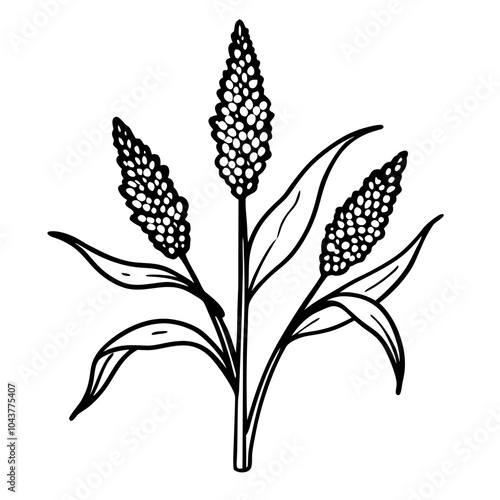 Monochrome Sorghum Plant Illustration with Detailed Leaves and Grains for Botanical Designs