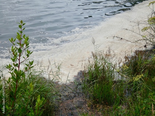 AGUAS CONTAMINADAS HACIENDO ESPUMA EN LA ORILLA