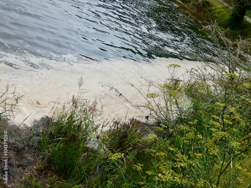 AGUAS CONTAMINADAS HACIENDO ESPUMA EN LA ORILLA