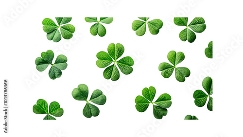 four leaf clover isolated