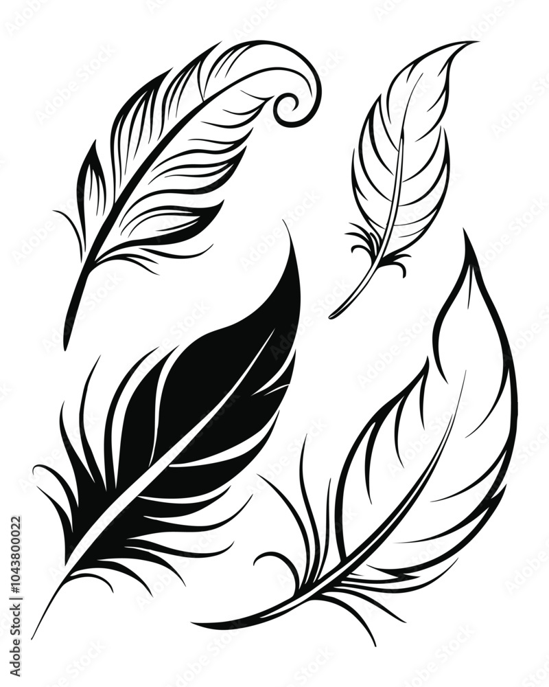 Obraz premium Feather Vector Illustrations with Minimalist Line Art.