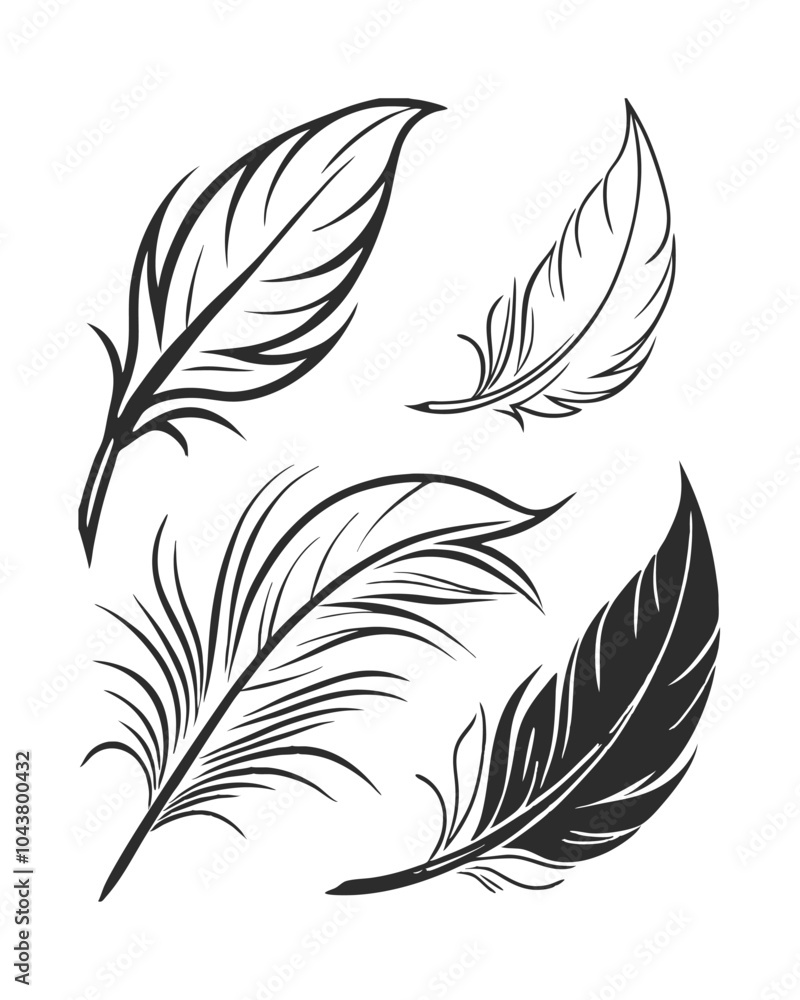 Obraz premium Feather Vector Illustrations with Minimalist Line Art.