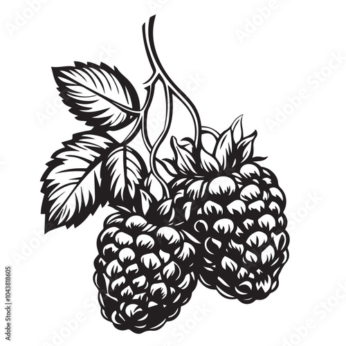 Raspberries In cartoon, hand-drawn flat style. image for social media, websites and UI. Isolated 2D vector design in logo, icon, sketch style, simple line vector, single color. AI Generative Art.