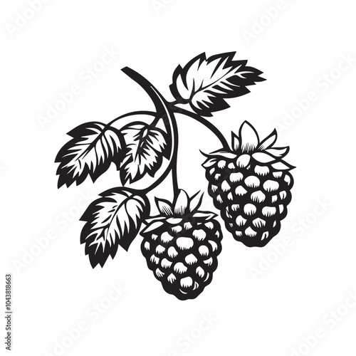 Raspberries In cartoon, hand-drawn flat style. image for social media, websites and UI. Isolated 2D vector design in logo, icon, sketch style, simple line vector, single color. AI Generative Art.