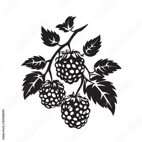 Raspberries In cartoon, hand-drawn flat style. image for social media, websites and UI. Isolated 2D vector design in logo, icon, sketch style, simple line vector, single color. AI Generative Art.