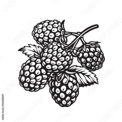 Raspberries In cartoon, hand-drawn flat style. image for social media, websites and UI. Isolated 2D vector design in logo, icon, sketch style, simple line vector, single color. AI Generative Art.