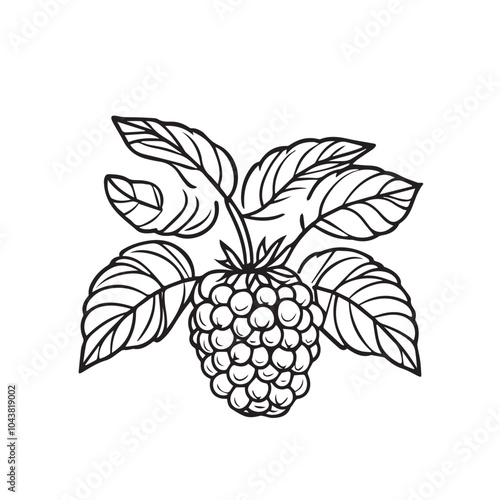 Raspberries In cartoon, hand-drawn flat style. image for social media, websites and UI. Isolated 2D vector design in logo, icon, sketch style, simple line vector, single color. AI Generative Art.