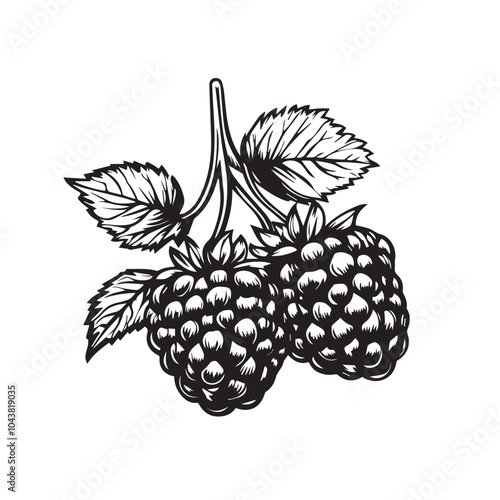 Raspberries In cartoon, hand-drawn flat style. image for social media, websites and UI. Isolated 2D vector design in logo, icon, sketch style, simple line vector, single color. AI Generative Art.