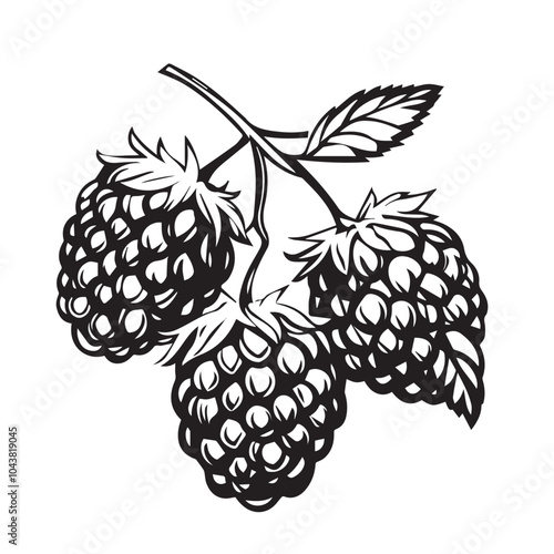 Raspberries In cartoon, hand-drawn flat style. image for social media, websites and UI. Isolated 2D vector design in logo, icon, sketch style, simple line vector, single color. AI Generative Art.