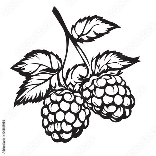 Raspberries In cartoon, hand-drawn flat style. image for social media, websites and UI. Isolated 2D vector design in logo, icon, sketch style, simple line vector, single color. AI Generative Art.