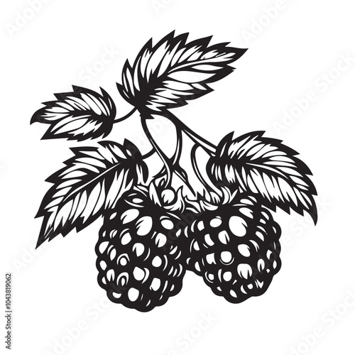 Raspberries In cartoon, hand-drawn flat style. image for social media, websites and UI. Isolated 2D vector design in logo, icon, sketch style, simple line vector, single color. AI Generative Art.