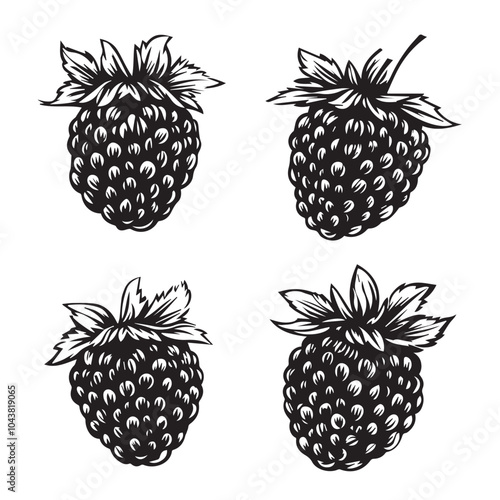 Raspberries In cartoon, hand-drawn flat style. image for social media, websites and UI. Isolated 2D vector design in logo, icon, sketch style, simple line vector, single color. AI Generative Art.