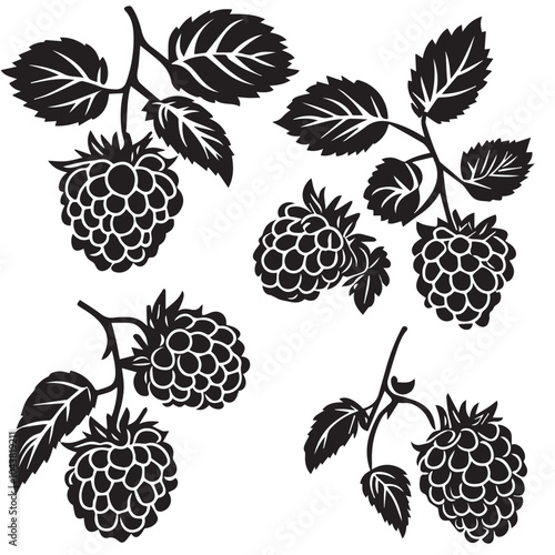 Raspberries In cartoon, hand-drawn flat style. image for social media, websites and UI. Isolated 2D vector design in logo, icon, sketch style, simple line vector, single color. AI Generative Art.
