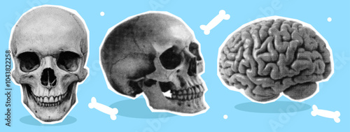 Human skull with halftone dots effect. Set collage design elements. Cut brain in  trendy grunge style