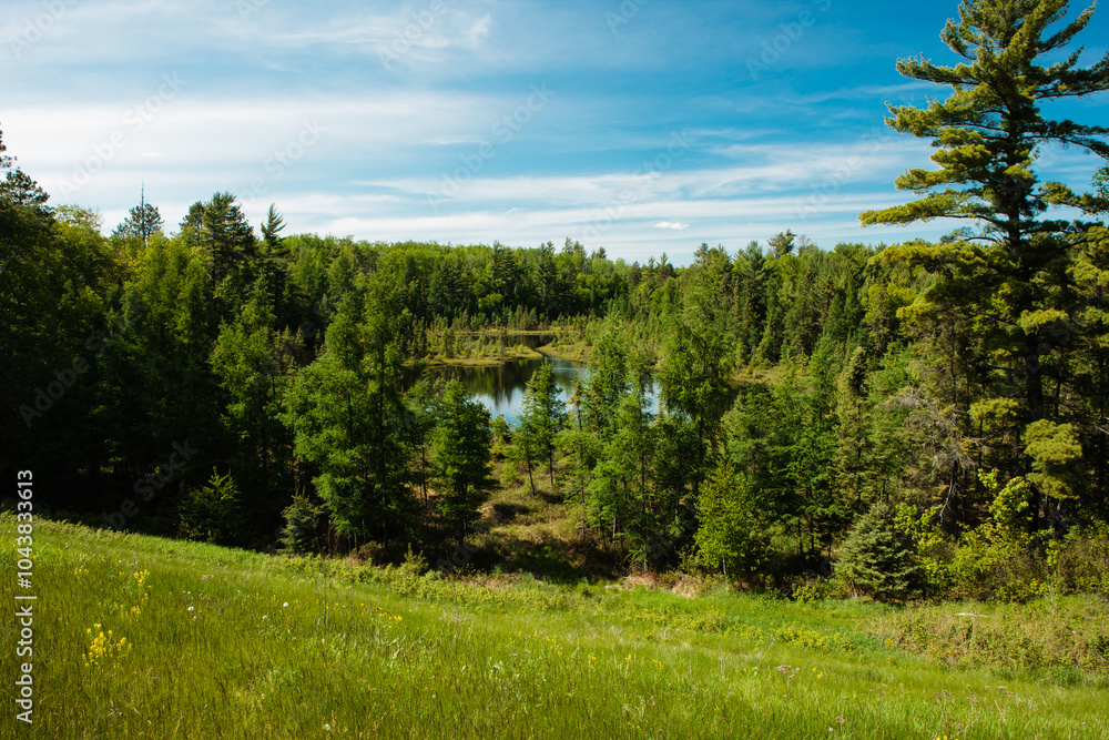 Small northern Wisconsin bog lake in early summer Small northern Wisconsin bog lake in early summer