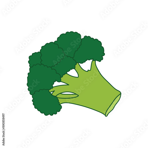 broccoli vegetable icon ,Fresh green broccoli vector illustration